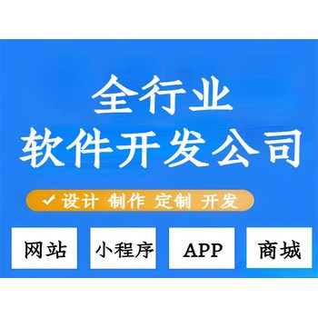 南昌软件外包服务商,网站建设小程序APP开发