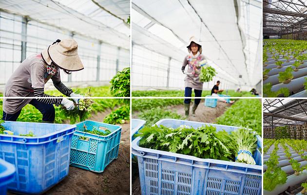 公司餐饮管理的有效途径以及作用_上海食堂承包